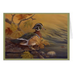 Wood Duck Blank Card