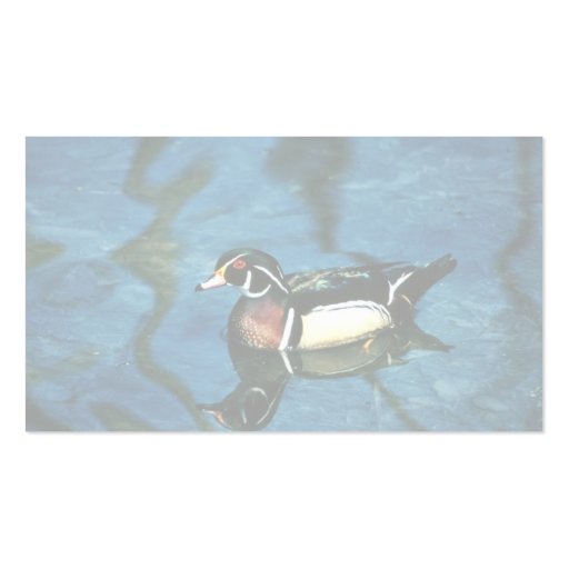 Wood Duck Business Card (back side)