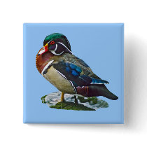 Wood Duck buttons