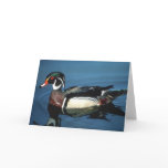 WOOD DUCK CARD