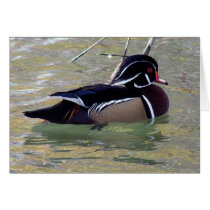 Wood Duck cards