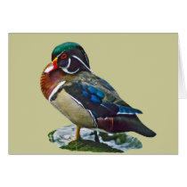 Wood Duck cards