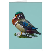 Wood Duck cards