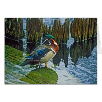 Wood Duck cards