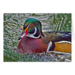 Wood Duck Card