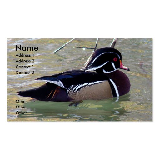 Wood Duck Drake Business Cards