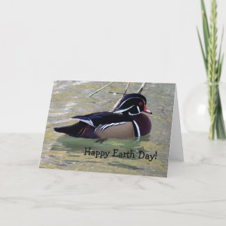 Wood Duck Drake, Happy Earth Day! zazzle_card