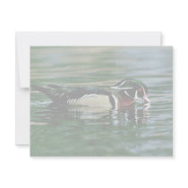 Wood Duck (Drake) Invitations