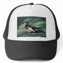 Wood Duck Mesh Hat