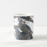 Wood Duck Hen Mugs