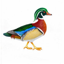 Wood Duck Holiday Ornament photo sculptures by twopurringcats Wood Duck Holiday Ornament photo sculptures