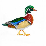 Wood Duck Holiday Ornament Photo Cut Outs