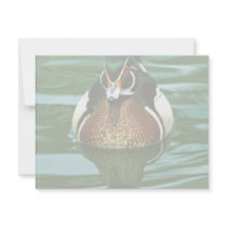 Wood Duck invitations by animalpark Wood Duck invitations