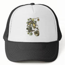 Wood Duck, John Audubon Hat