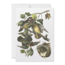 Wood Duck, John Audubon Invitations