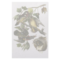 Wood Duck, John Audubon Customized Stationery