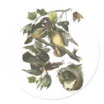Wood Duck, John Audubon Stickers