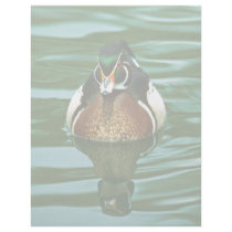 Wood Duck Custom Letterhead