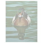 Wood Duck Custom Letterhead