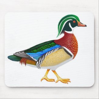 Wood Duck Mousepad mousepad