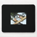 Wood duck mousepad