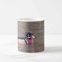 Wood Duck mugs by KheestoneImages Wood Duck mugs