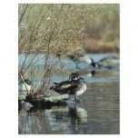 Wood Duck Pair Personalized Flyer