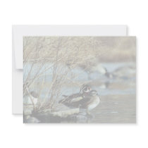Wood Duck Pair invitations by animalpark Wood Duck Pair invitations