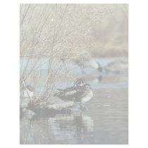 Wood Duck Pair letterhead by animalpark Wood Duck Pair letterhead