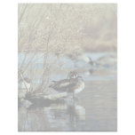 Wood Duck Pair Customized Letterhead