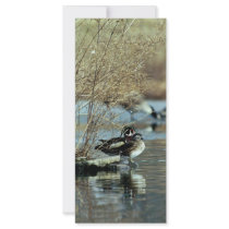 Wood Duck Pair rack cards