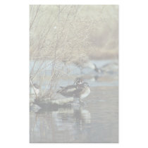 Wood Duck Pair Customized Stationery