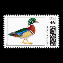 Wood Duck postage