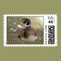 Wood Duck Postage postage