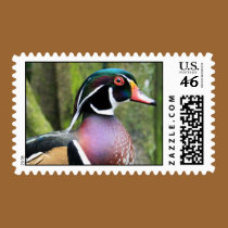 Wood Duck stamps