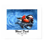 Wood Duck Print - Customized