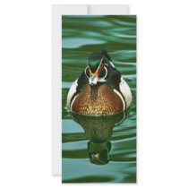 Wood Duck rack cards