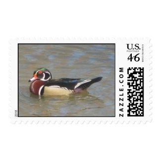 Wood Duck Stamp