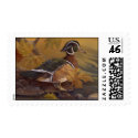 Wood Duck Stamp by Laura_Regan_Artist Wood Duck Stamp