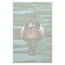 Wood Duck Stationery Paper