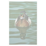 Wood Duck Stationery Paper
