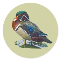 Wood Duck stickers