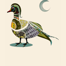 Wood Duck shirt