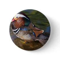 Wood Duck With An Ankle Braclet buttons by lifesphere Wood Duck With An Ankle Braclet buttons