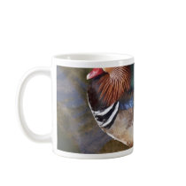 Wood Duck With An Ankle Braclet Mugs