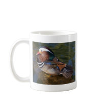 wood-duck-with-an-ankle-braclet mug