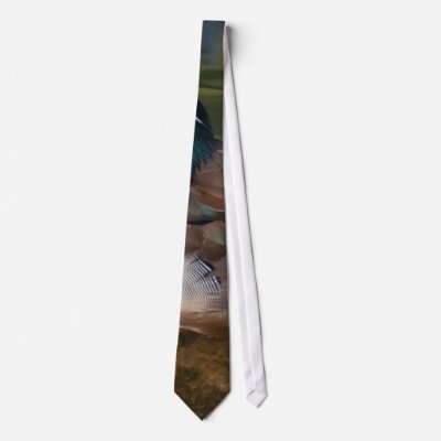Wood Duck With An Ankle Braclet Neckties by lifesphere