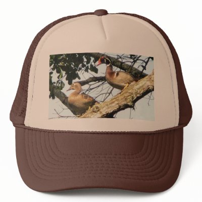 Wood Ducks Cap Hat by KCsGallery