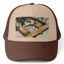 Wood Ducks Cap hats by KCsGallery Wood Ducks Cap hats