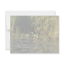 Wood Ducks invitations by animalpark Wood Ducks invitations
